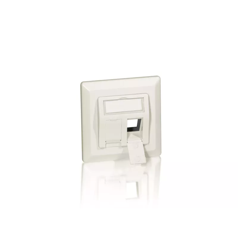 Equip 2-Port German Faceplate
