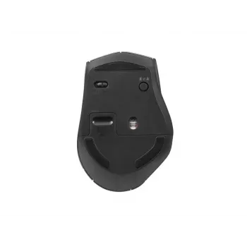 Equip 245115 belaidė pelė su dvigubo prijungimo adapteriu (USB-C+A)