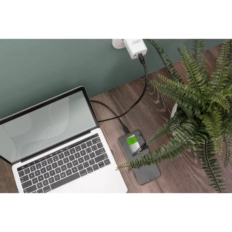 DIGITUS ASSMANN USB Type-C jungiamasis kabelis, tipas C į A M/M, 3m 3A, 480MB, 2.0 versija, juoda