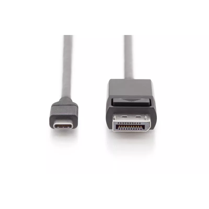 DIGITUS USB Type-C adapterio kabelis, Type-C į DP M/M, 2m 4K/60Hz, 32,4 GB, CE, juodas