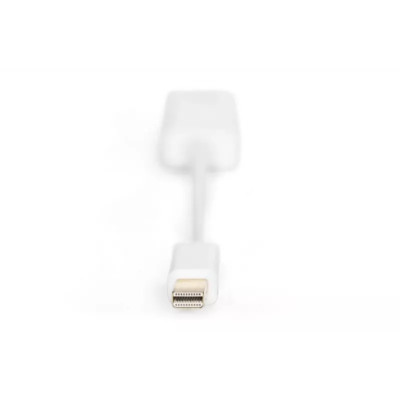 DIGITUS ASSMANN DisplayPort adapterio kabelis, mini DP - HDMI tipo A M/F, 15cm DP 1.1a suderinamas, CE baltas