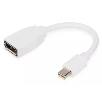 DIGITUS DisplayPort adapterio laidas, mini DP - DP M/F, 0,15 m, atitinka DP 1.2, baltas