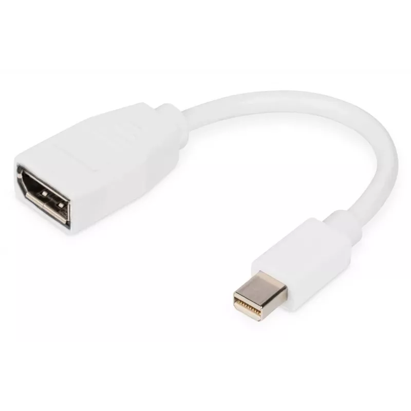 DIGITUS DisplayPort adapterio laidas, mini DP - DP M/F, 0,15 m, atitinka DP 1.2, baltas
