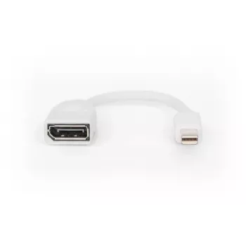 DIGITUS DisplayPort adapterio laidas, mini DP - DP M/F, 0,15 m, atitinka DP 1.2, baltas