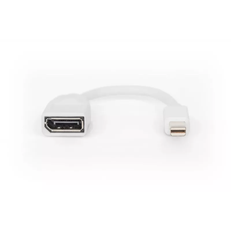 DIGITUS DisplayPort adapterio laidas, mini DP - DP M/F, 0,15 m, atitinka DP 1.2, baltas
