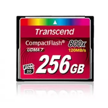 TRANSCEND Cf kortelė Cf800 256GB 800x Premium