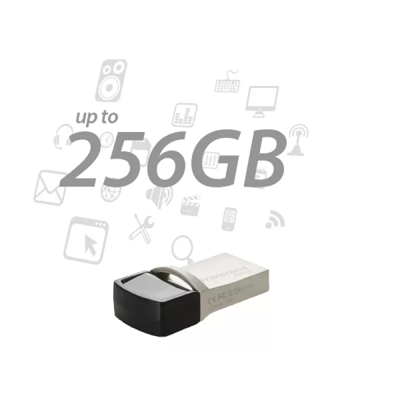 TRANSCEND Jetflash 890 - 256GB USB atmintinė - USB 3.1 / C tipo