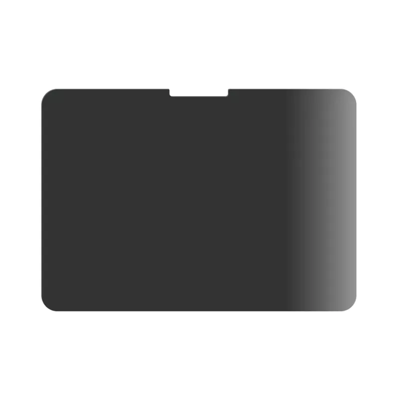PanzerGlass ® Privatumo ekrano apsauga ® iPad Pro 11'' (2024-2025) | Itin platus pritaikymas