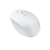 ASUS Fragrance MD101 pelė Namų Abiem rankoms tinkama RF belaidė + Bluetooth optinė 2400 DPI