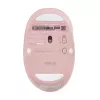 ASUS Fragrance MD101 pelė Namams Abiem rankoms tinkama RF belaidė + Bluetooth optinė 2400 DPI