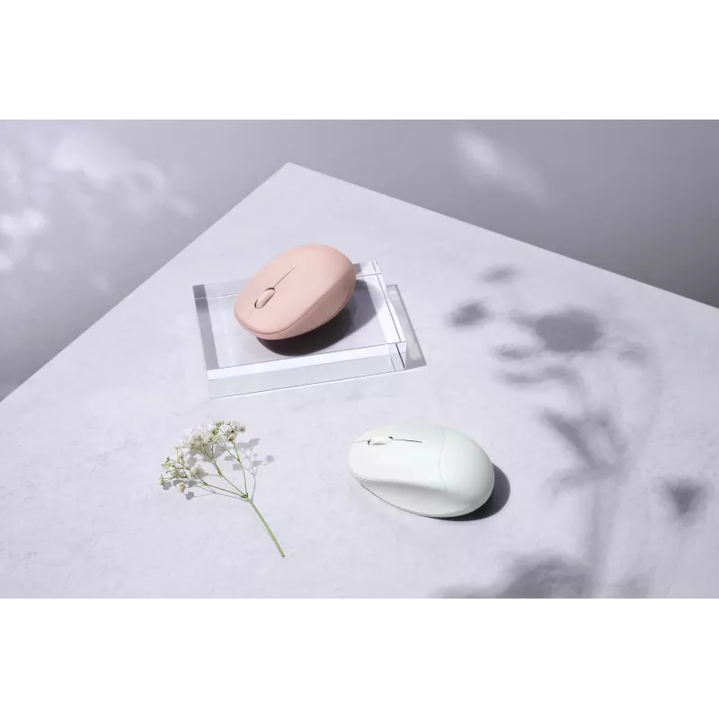 ASUS Fragrance MD101 pelė Namams Abiem rankoms tinkama RF belaidė + Bluetooth optinė 2400 DPI