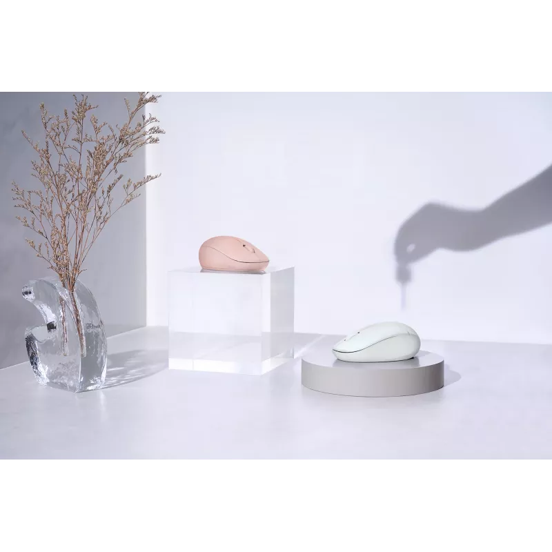 ASUS Fragrance MD101 pelė Namams Abiem rankoms tinkama RF belaidė + Bluetooth optinė 2400 DPI
