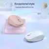 ASUS Fragrance MD101 pelė Namams Abiem rankoms tinkama RF belaidė + Bluetooth optinė 2400 DPI