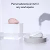ASUS Fragrance MD101 pelė Namams Abiem rankoms tinkama RF belaidė + Bluetooth optinė 2400 DPI