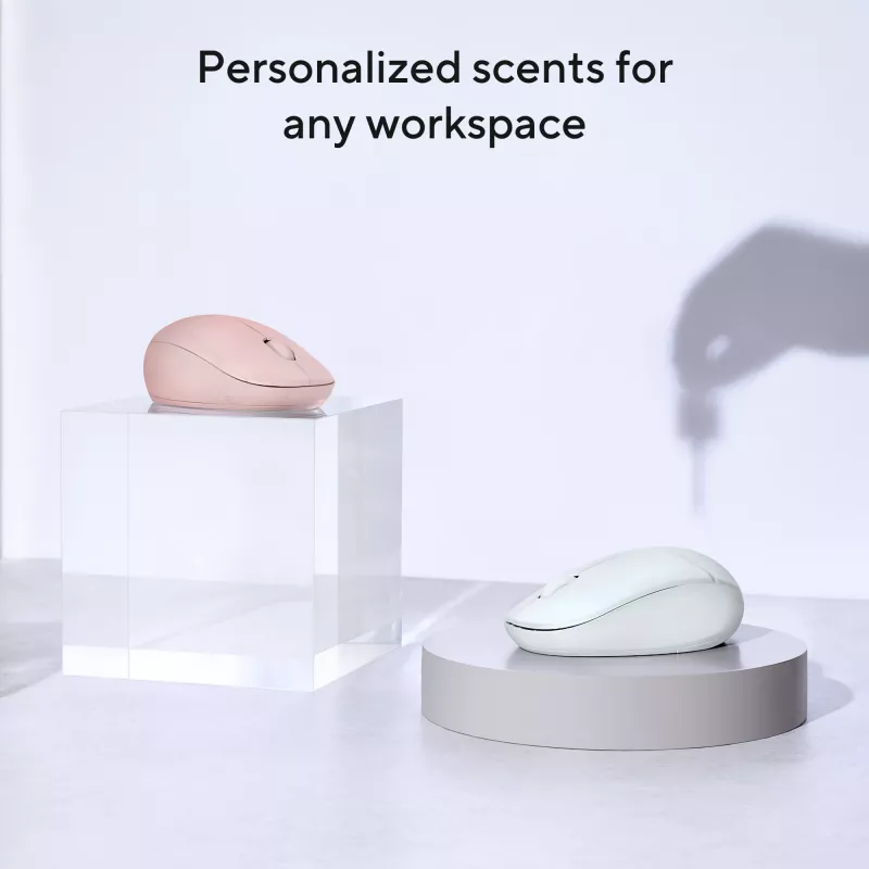 ASUS Fragrance MD101 pelė Namams Abiem rankoms tinkama RF belaidė + Bluetooth optinė 2400 DPI