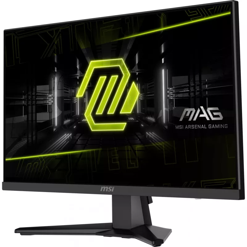 MSI MAG 244F kompiuterio monitorius 59,9 cm (23,6 colių) 1920 x 1080 pikselių Full HD LCD juodas