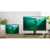 DELL SE2425HM kompiuterio monitorius 60,5 cm (23,8 colio) 1920 x 1080 pikselių Full HD LCD juodas