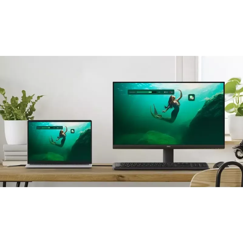 DELL SE2425HM kompiuterio monitorius 60,5 cm (23,8 colio) 1920 x 1080 pikselių Full HD LCD juodas