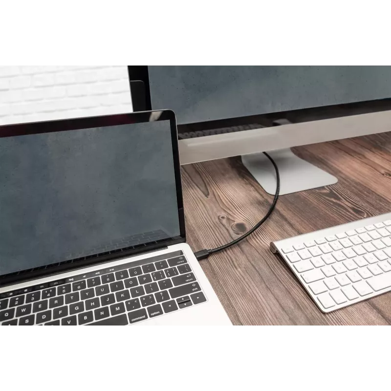DIGITUS USB Type-C connection kabelis, type C to C M/M, 1m Gen2 Juoda (AK-300139-010-S)