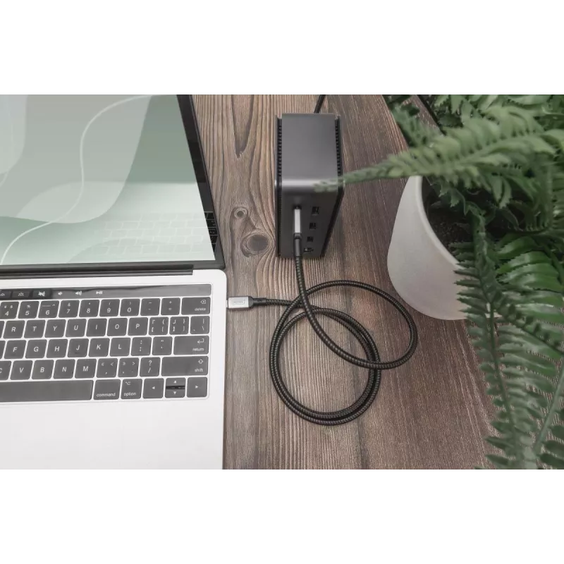 DIGITUS USB 4 jungiamasis kabelis. Type-C į Type-C. AL korpusas PP pynė 4K@60Hz. PD3.0. 20 Gbit/s. 3 m. juodas