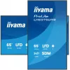 „iiyama LH6575UHS-B2AG“ reklaminis ekranas Skaitmeninės reklamos plokščiasis ekranas 163,8 cm (64,5 colio) LCD Wi-Fi 500 cd/m² 4K Ultra HD Juodas Integruotas procesorius Android 11 24/7