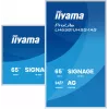 iiyama LH6581UHSG-1AG reklaminis ekranas Skaitmeninės iškabos plokščia panelė 163,8 cm (64,5 colio) Wi-Fi 500 cd/m² 4K Ultra HD Balta Integruotas procesorius Android 24/7