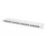 DIGITUS skydinis pultas CAT6A EA ekranuotas, 24 prievadų RJ45 dulkių dangteliai, 8P8C, 0,5U, pilka RAL 7035