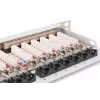 DIGITUS skydinis pultas CAT6A EA ekranuotas, 24 prievadų RJ45 dulkių dangteliai, 8P8C, 0,5U, pilka RAL 7035