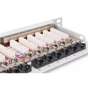 DIGITUS skydinis pultas CAT6A EA ekranuotas, 24 prievadų RJ45 dulkių dangteliai, 8P8C, 0,5U, pilka RAL 7035