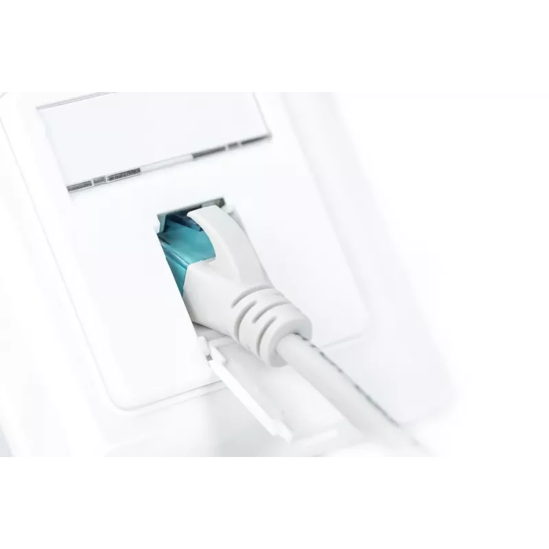 DIGITUS CAT6A EA klasė tinklo lizdas, ekranuotas 1x RJ45, LSA, grynai baltas, lygiai montuojamas, 8 krypčių