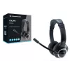 Ausinės Conceptronic POLONA USB ausinės