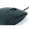 Conceptronic Optical Desktop pelė CLLM3BDESK USB Type-A