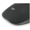 Conceptronic REGAS01B pelė Biuro Abiem rankoms tinkama USB Type-A Optinė 1200 DPI