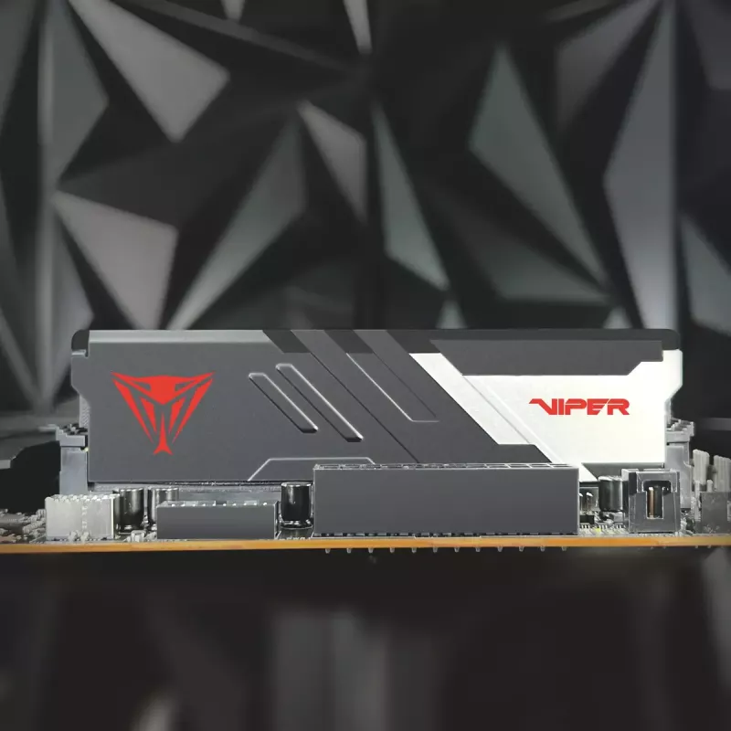 DIMM 32 GB DDR5-6400 (2x 16 GB) Dual-Kit, Arbeitsspeicher schwarz, PVV532G640C32K, Viper Venom, INTEL XMP