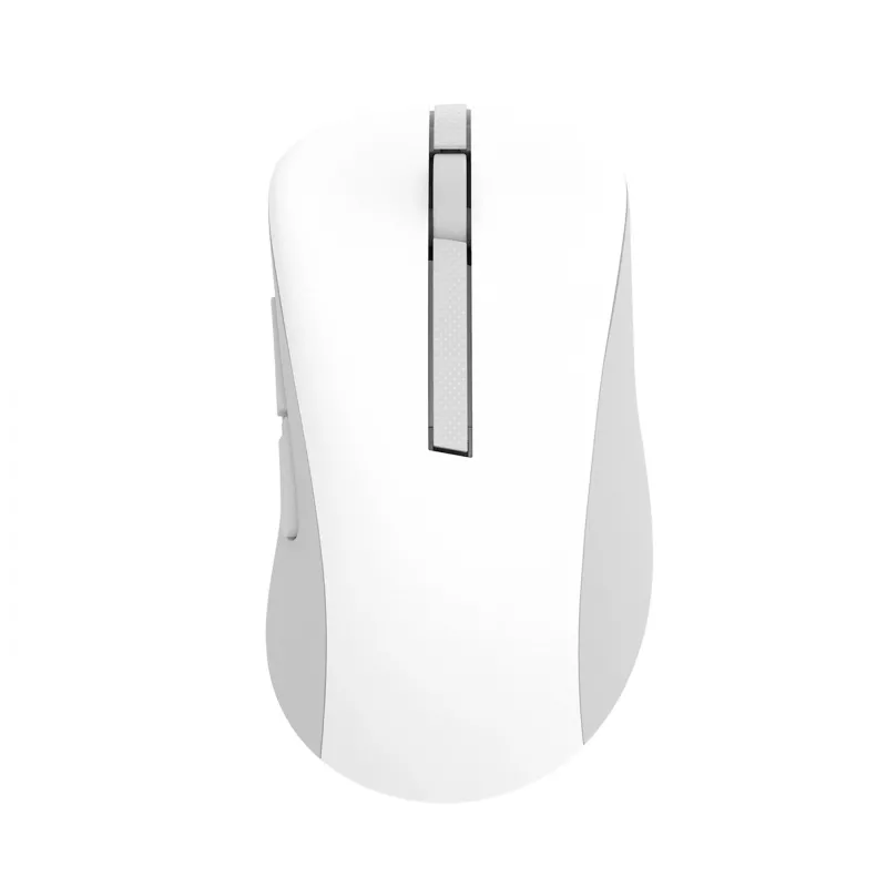 ASUS belaidė pelė MD102, universali, dešiniarankiams, RF belaidis + Bluetooth, optinė, 1600 DPI, balta