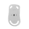 ASUS belaidė pelė MD102, universali, dešiniarankiams, RF belaidis + Bluetooth, optinė, 1600 DPI, balta