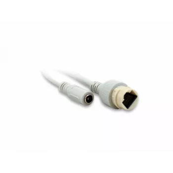 LevelOne GEMINI Fixed Dome IP tinklo kamera, 2 megapikseliai, 802.3af PoE, atspari vandalizmui, vidaus/lauko