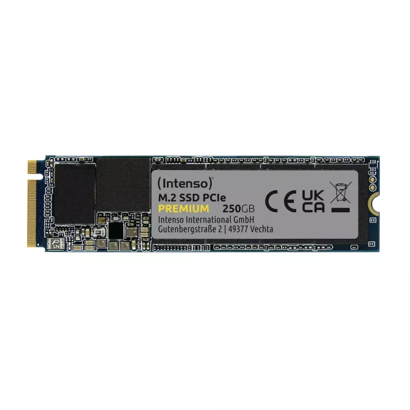 SSD diskas Intenso 250 GB M.2 PCI Express 3.0 NVMe modelis