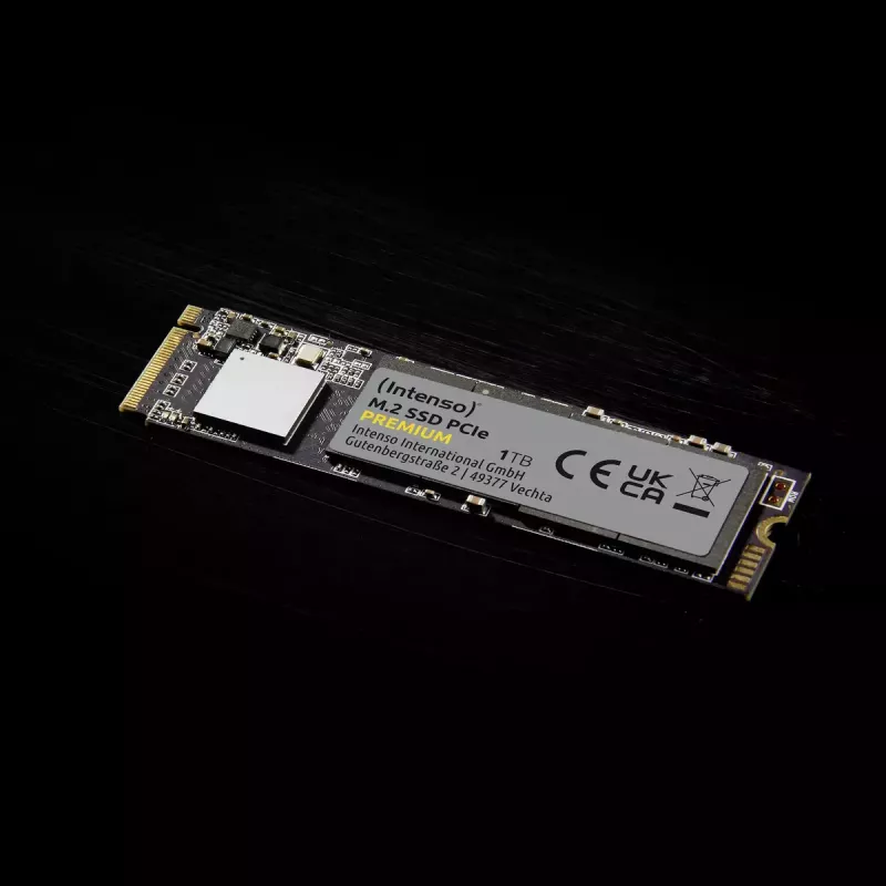 SSD diskas Intenso 250 GB M.2 PCI Express 3.0 NVMe modelis