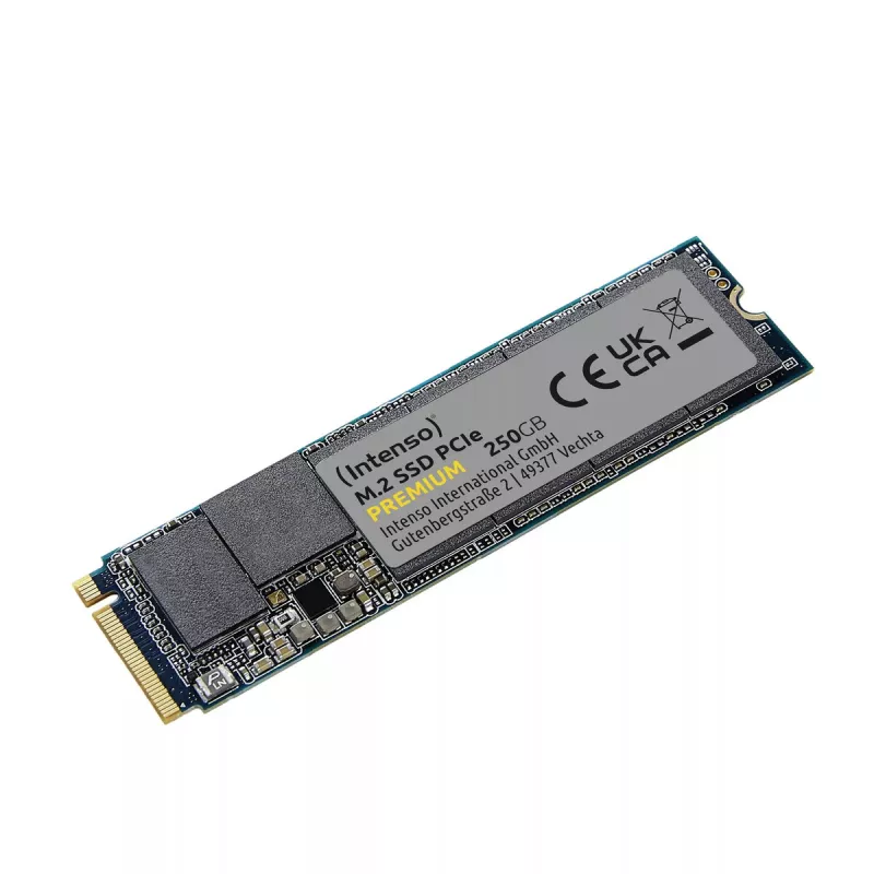 SSD diskas Intenso 250 GB M.2 PCI Express 3.0 NVMe modelis