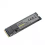 SSD diskas Intenso 250 GB M.2 PCI Express 3.0 NVMe modelis