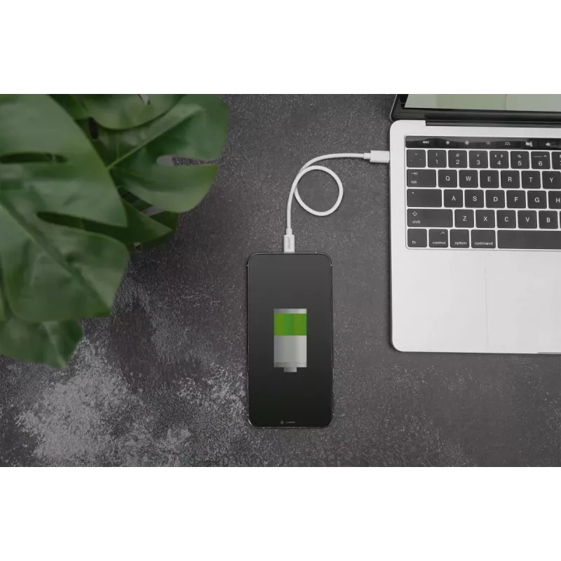 Charger kabelis USB-C - Lightning Digitus Data DB-600109-010-W