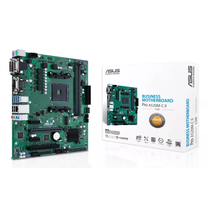 ASUS PRO A520M-C II/CSM AMD A520 lizdas AM4 mikro ATX