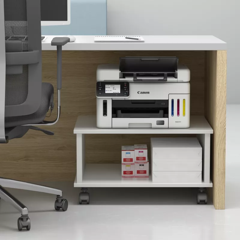 Canon MAXIFY GX6550 Rašalinis A4 600 x 1200 DPI Wi-Fi