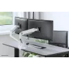 Neomounts DS70S-950WH2 Monitorio laikiklis 17-35 col. - dujinė spyruoklė - Topfix - 180°-stop