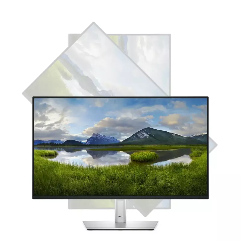 DELL Pro Plus P2425HE kompiuterio monitorius 60,5 cm (23,8 col.) 1920 x 1080 pikselių Full HD LCD juodas
