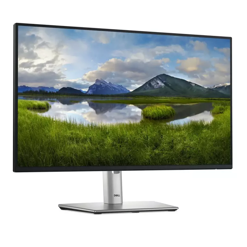 DELL Pro Plus P2425HE kompiuterio monitorius 60,5 cm (23,8 col.) 1920 x 1080 pikselių Full HD LCD juodas