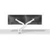 Neomounts DS70-250WH2 monitoriaus laikiklis 17-32 colių - dujinis spyruoklinis - Topfix - 180°-stabdiklis