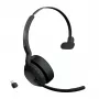 Ausinės Jabra Evolve2 55 - Link380c MS Mono