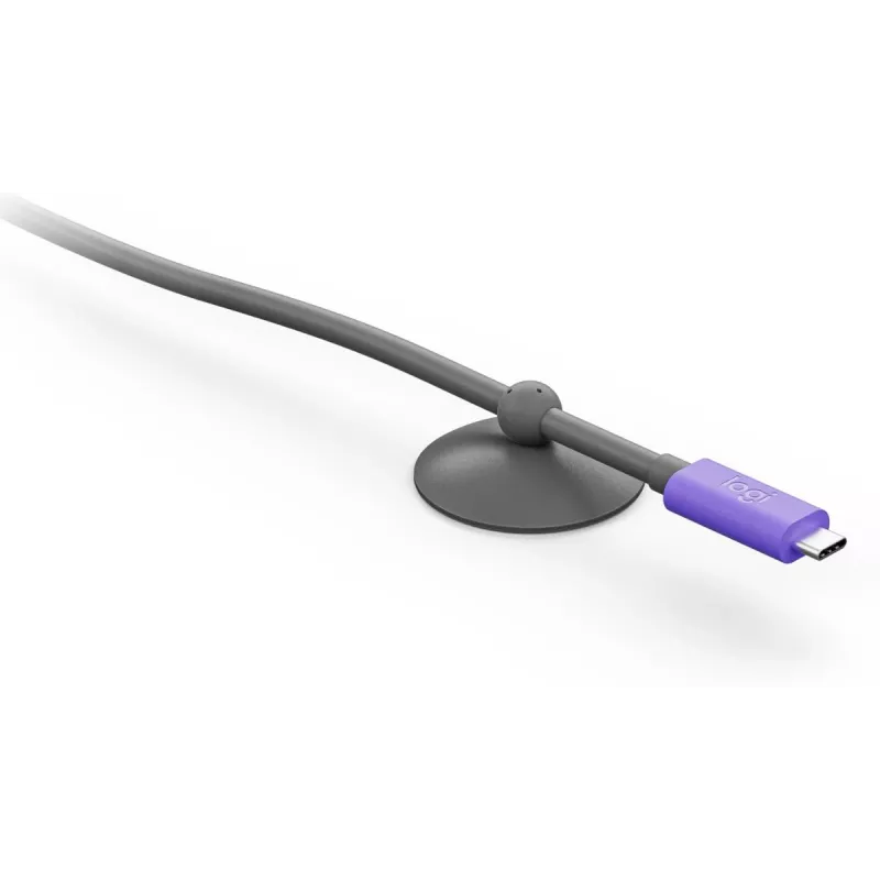 USB kabelis Logitech 952-000195 USB 3.2 Gen 2 5 m USB C Grafito Violetinė